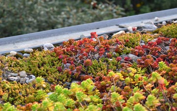 the cost of Eden Mount green roof installation