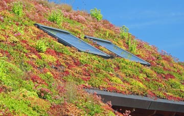 Eden Mount living roof systems